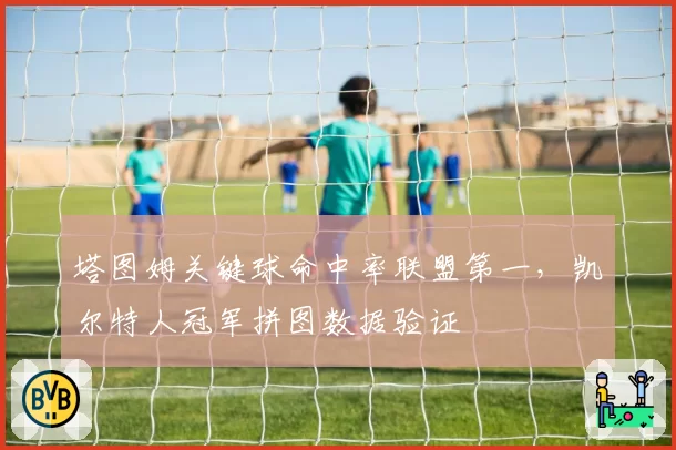 塔图姆关键球命中率联盟第一，凯尔特人冠军拼图数据验证